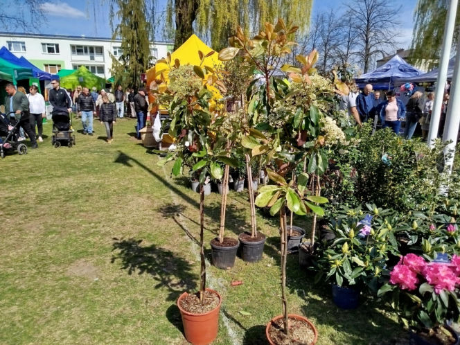 Impreza Wiosna na polu i w ogrodzie odbyła się w Siedlcach już po raz 18.