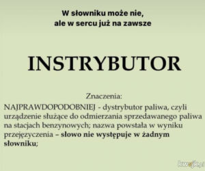Instrybutor podbija internet