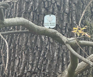 ul. Łączności 5–7 we Wrocławiu