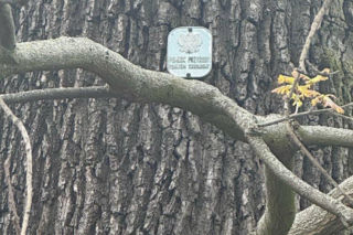 ul. Łączności 5–7 we Wrocławiu