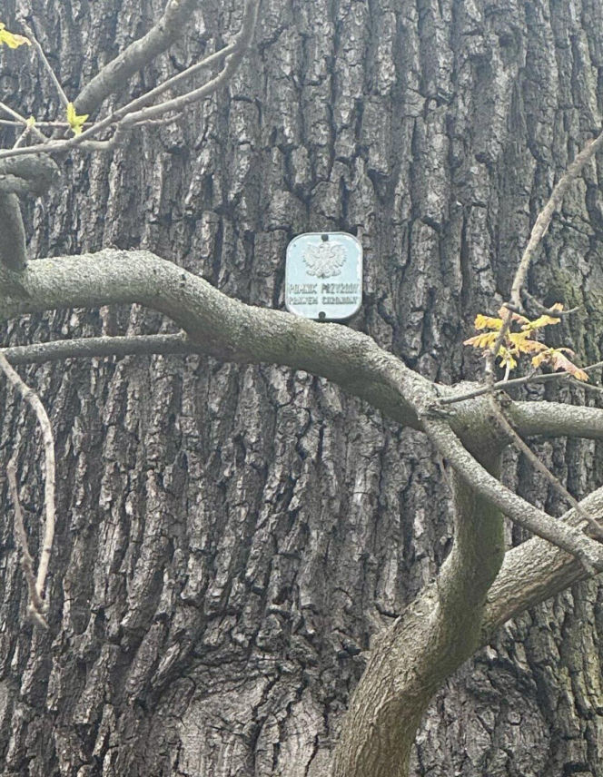 ul. Łączności 5–7 we Wrocławiu