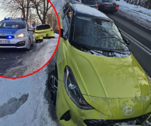 Twierdziła, że wypiła tylko dwa drinki. Jazdę zakończyła w zaspie śniegu uderzając w znak drogowy