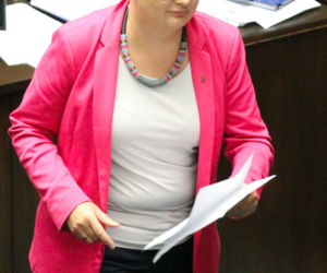 Tak zmieniała się Katarzyna Lubnauer