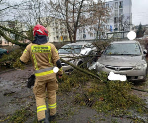 Drzewa na samochodach, zerwane dachy, brak prądu. Skutki wichury w Toruniu i okolicach