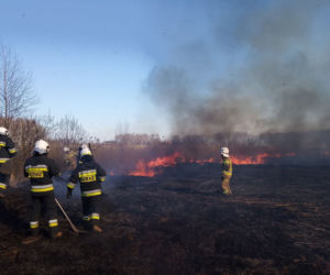 Potężny pożar na Śląsku! Strażacy kilka godzin walczyli z ogniem