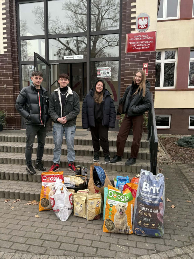 Rekord pobity! Ponad 400 kg karmy zebrane w akcji TikTokera dla schroniska w Ostrowie