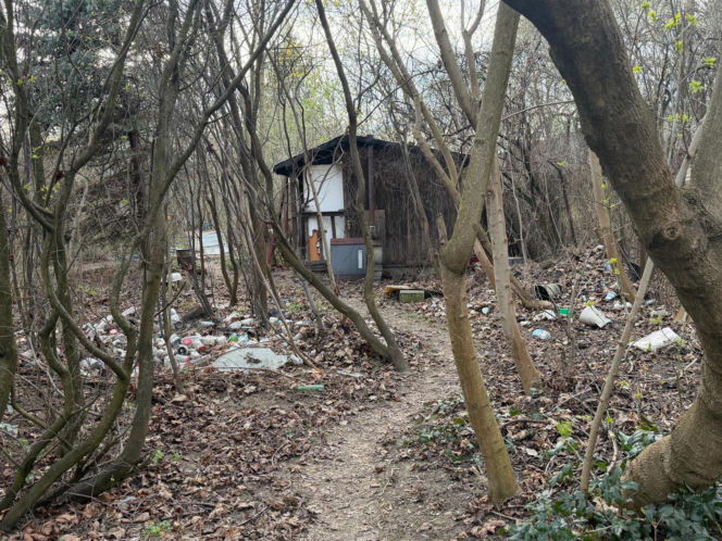 Wielkanocna awantura na ogórdkach działkowych. W ruch poszedł nóż