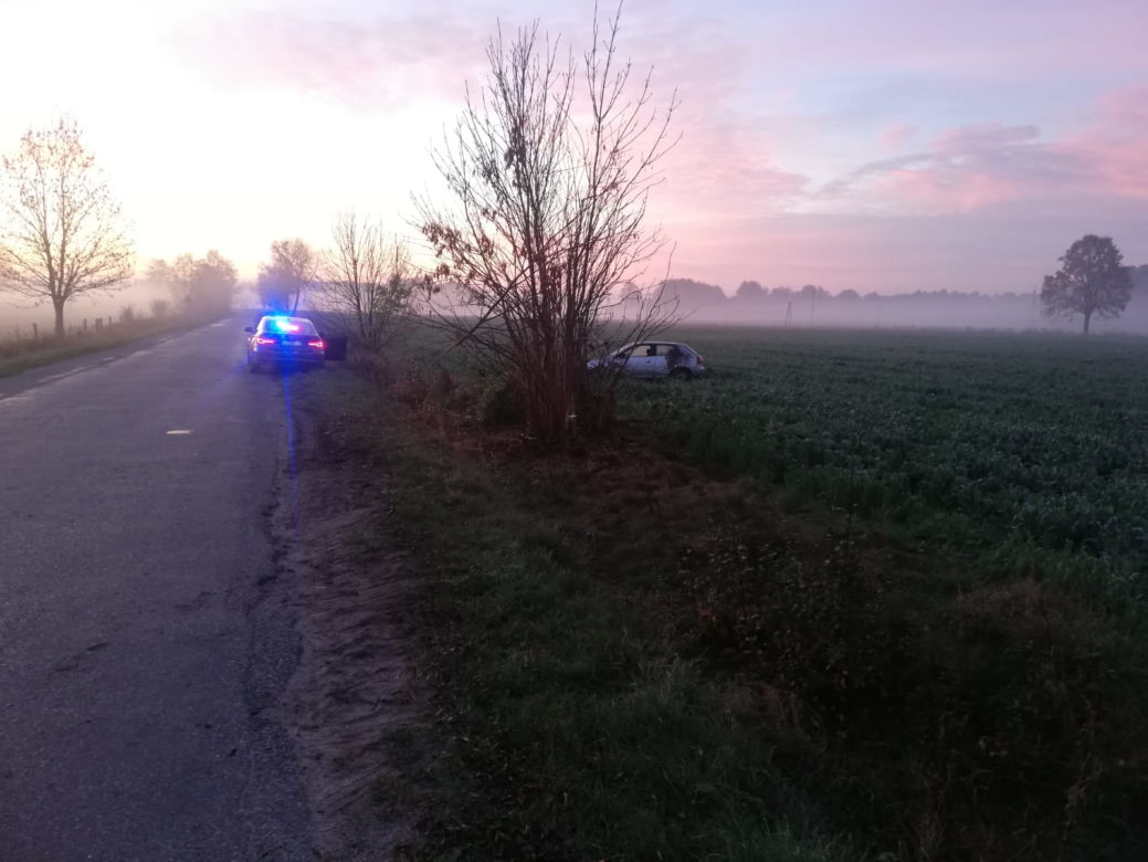 Wypadek z sarnami k. Szczytna