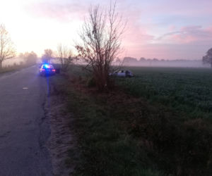Wypadek z sarnami k. Szczytna