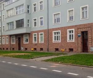 Okazałe drzewa na Turzynie poszły pod topór