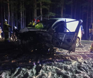 Wypadek na DK 10 w pod Bydgoszczą! Jedna osoba poszkodowana [ZDJĘCIA]