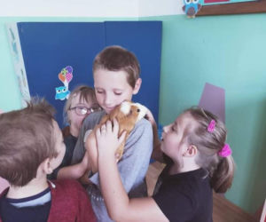RODOTERAPIA - czyli terapia gryzoniami w Szkole Podstawowej Specjalnej nr 19 w Kaliszu