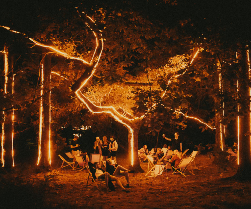 Fest Festival 2021