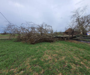 Interwencje Strażaków przy likwidacji szkód spowodowanych przez gwałtowny wiatr i burze
