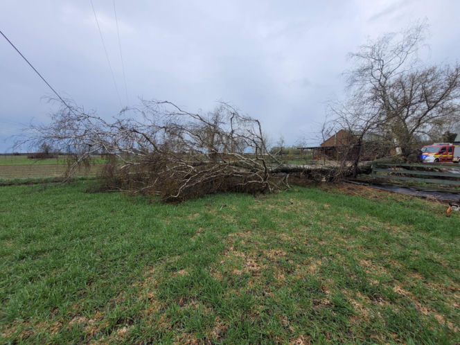 Interwencje Strażaków przy likwidacji szkód spowodowanych przez gwałtowny wiatr i burze
