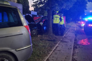 Tragiczny wypadek na ul. Brukowej w Łodzi. Chciała wyprzedzić, zabiła się na drzewie. Co tam się stało? [FOTO]