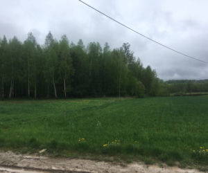 Zabił rywala i odciął mu stopy