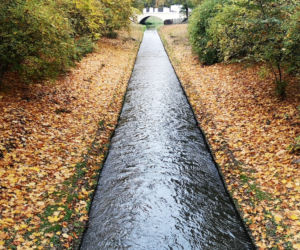 7. Park Stary im. Księcia Józefa Poniatowskiego