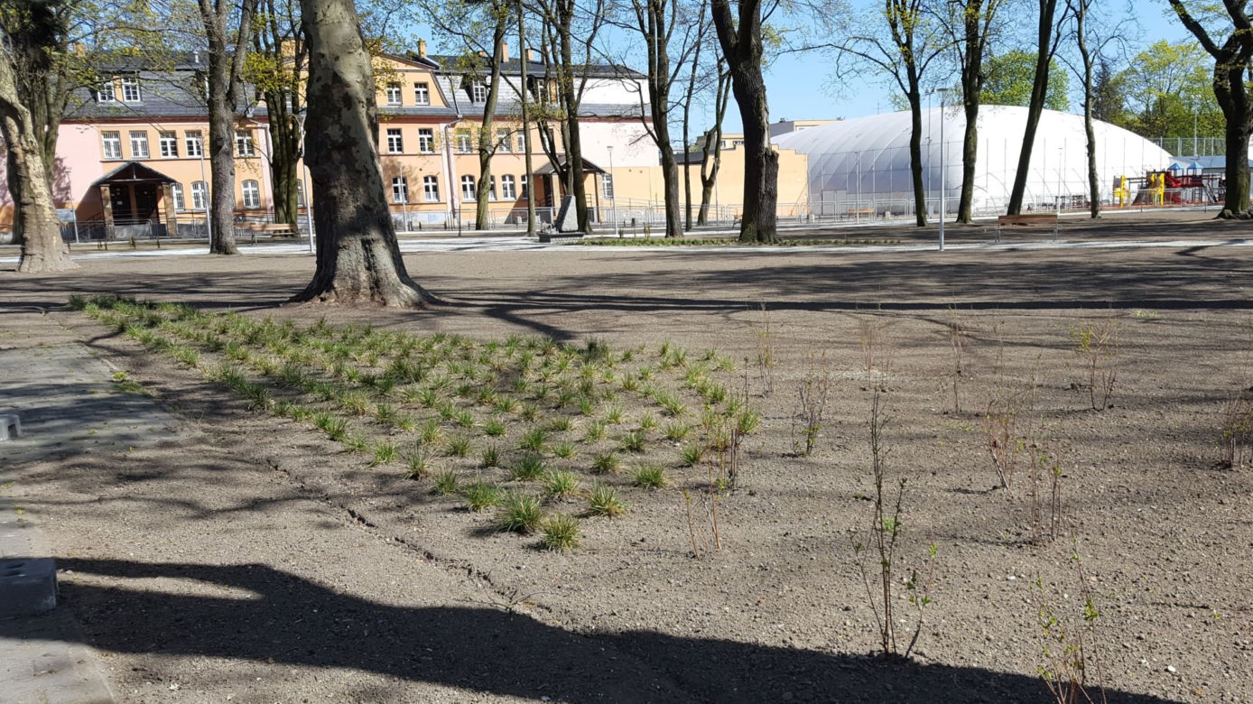 Od dziś otwarte lasy i parki. Ale parki Heermanna i Jonstona wciąż ogrodzone