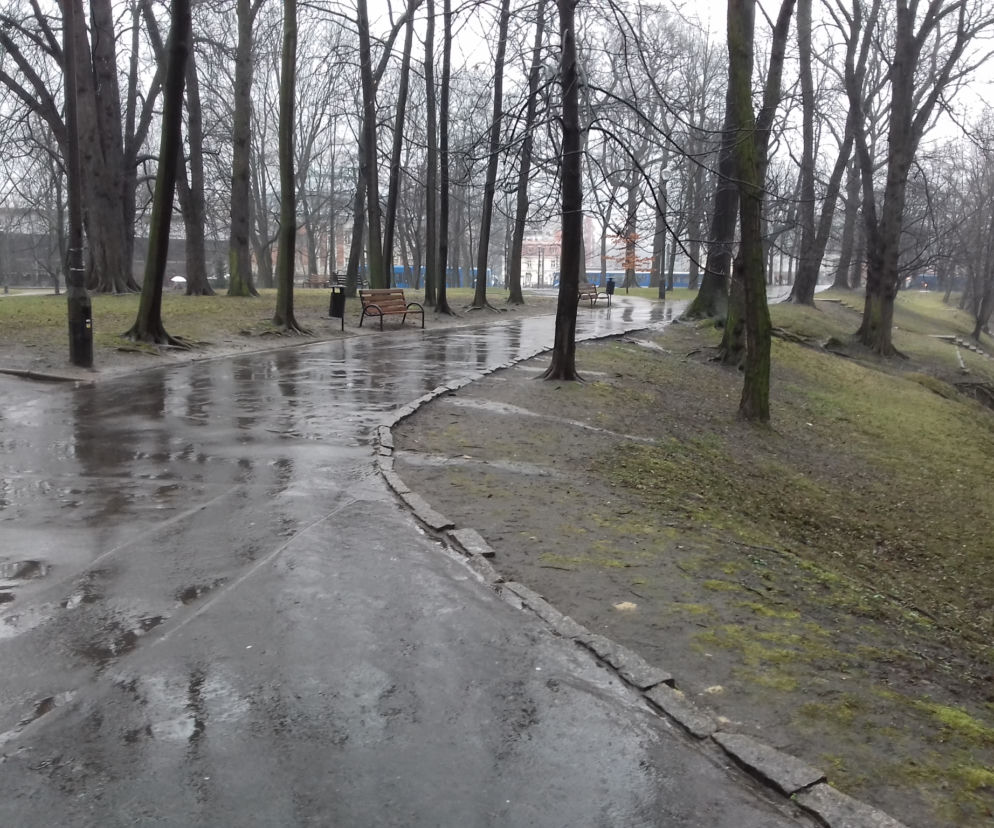 Tak obecnie wygląda Park Kleparski