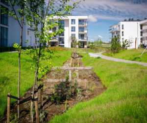 Ogród deszczowy Gdynia
