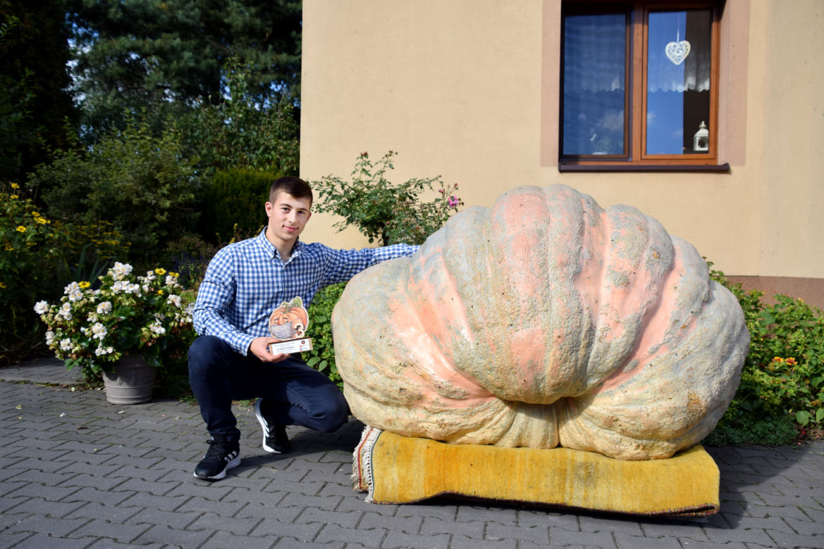 Śląskie: Pan Piotr wyhodował DYNIĘ GIGANTA! Waży tyle, ile ośmiu dorosłych mężczyzn [ZDJĘCIA]