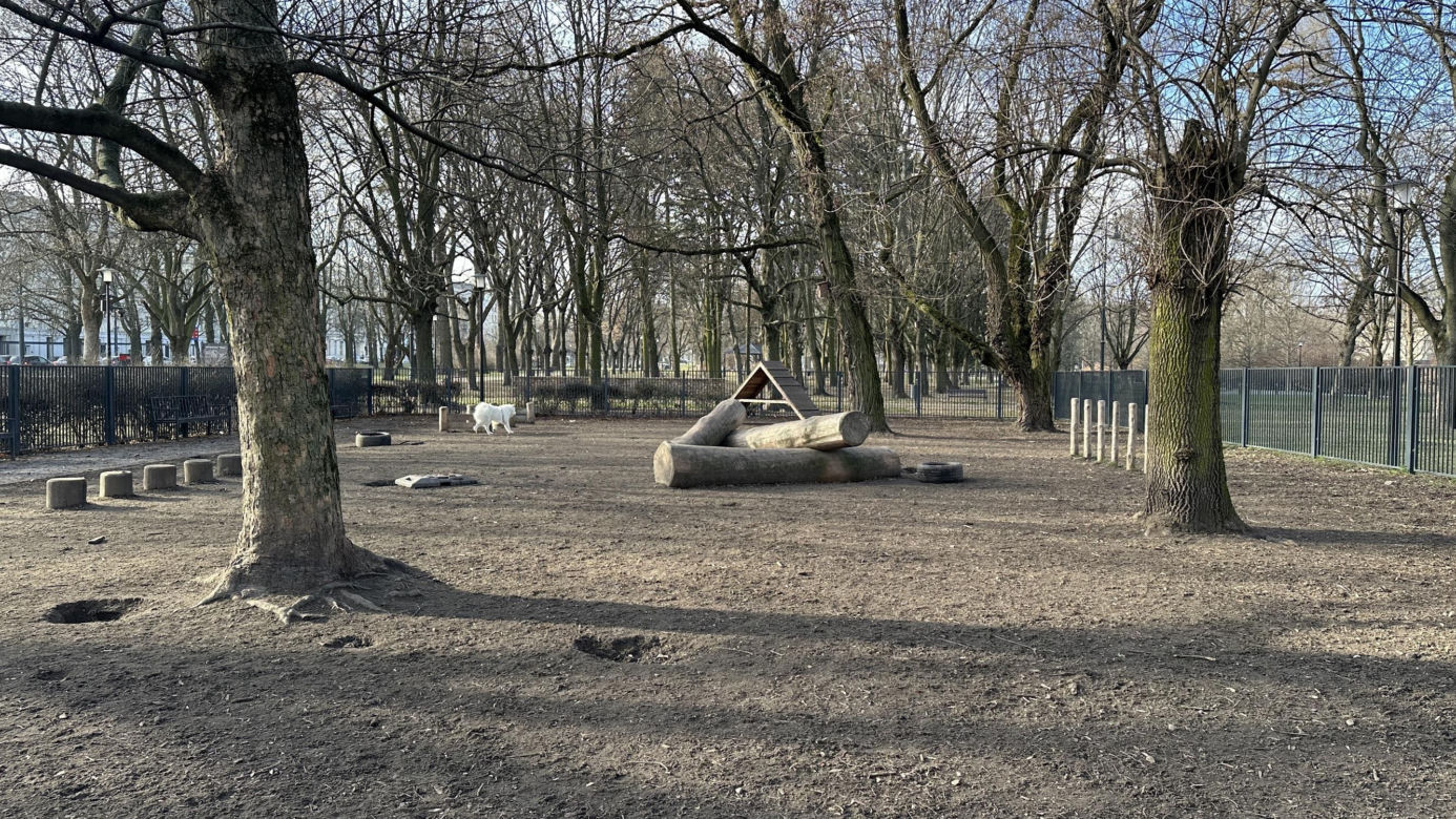 Psi park w Parku Staromiejskim w Łodzi