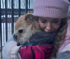 Doda kończy działania pomocowe dla schronisk. Nie mogę dalej w tym zostać