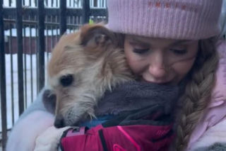 Doda kończy działania pomocowe dla schronisk. Nie mogę dalej w tym zostać