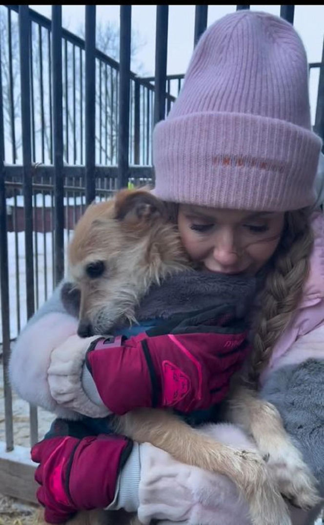Doda kończy działania pomocowe dla schronisk. "Nie mogę dalej w tym zostać"