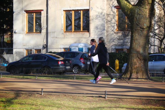 Jasne Błonia mają "toksyczne podłoże"?