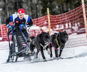 Waldemar Stawowczyk Team