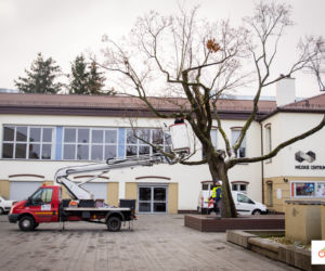 Miasto stroi się na ŚWIĘTA! Wśród iluminacji na drzewach i ulicach ciekawa NOWOŚĆ 