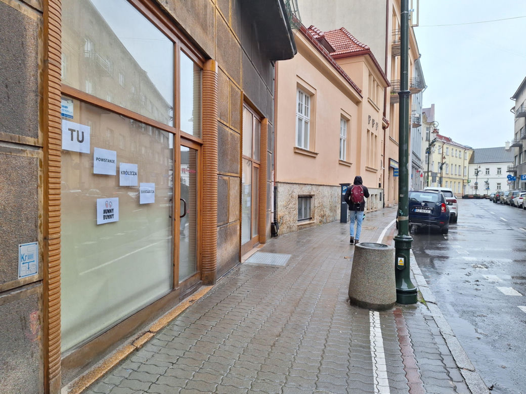 Królicza kawiarnia Hunny Bunny powstanie w Rzeszowie. Będzie limit wiekowy? 