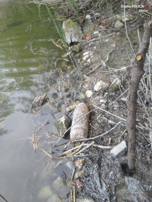 GROZA w Boguszycach! Dzieci znalazły NIEBEZPIECZNY pocisk! [ZDJĘCIA]