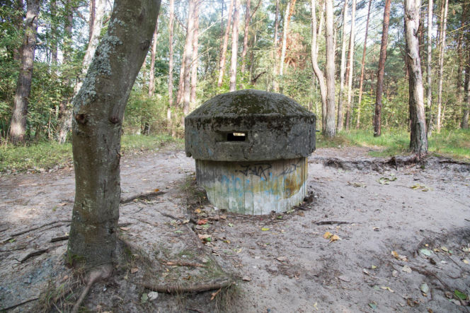 Kopuła strzelecka