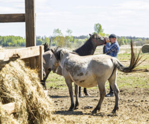 Robert Telus ruszył w pole