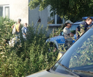 Martwe i wygłodzone zwierzęta pod Sannikami! Do tego broń z ostrą amunicją! Co tam się działo?!