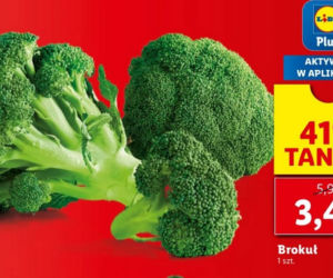 Lidl ostatni dzień promocji