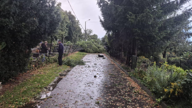 Potężna wichura w Wielkopolsce! Zerwane dachy, powalone drzewa i ogromne zniszczenia