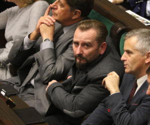Liroy na polskiej scenie politycznej