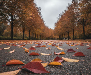Słoneczny weekend w Kielcach? Nie do końca. Ta zmiana w prognozie jest kluczowa