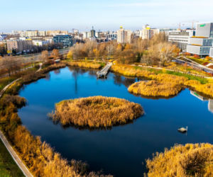 Pętla tramwajowa Wyścigi w Warszawie i okolice