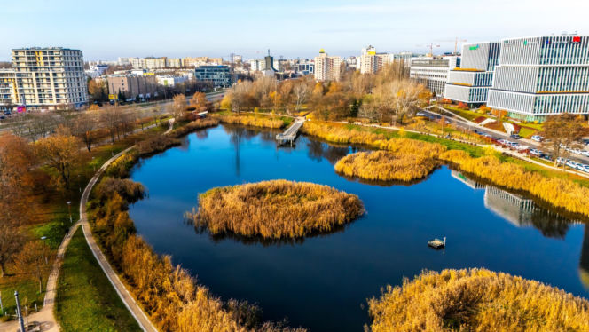 Pętla tramwajowa Wyścigi w Warszawie i okolice