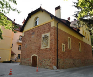Zamek w Osiecznej