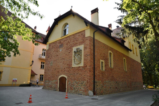 Zamek w Osiecznej