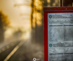 Kiedy komunikacja jest pasją...