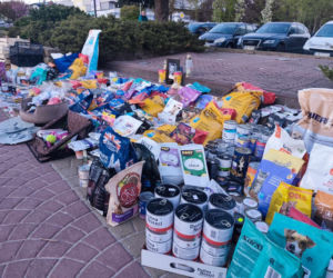 1,5 tony karmy ku pamięci Łukasza Litewki