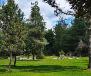 To jedno z najpiękniejszych miast w Małopolsce. Jest też jedynym takim uzdrowiskiem w Polsce