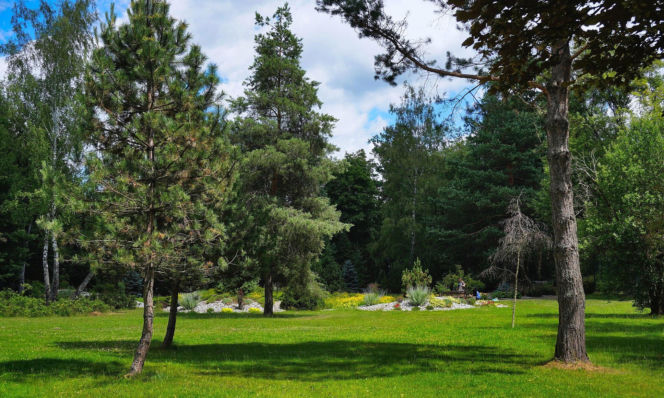 To jedno z najpiękniejszych miast w Małopolsce. Jest też jedynym takim uzdrowiskiem w Polsce
